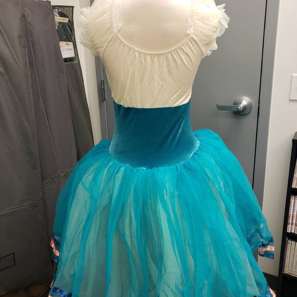 Adult Ballet Blue Maiden Costume